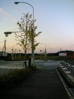 f0048418_17224647.jpg