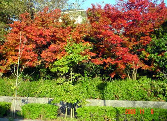 e0083820_10441299.jpg