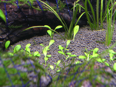 c0095824_12443190.jpg