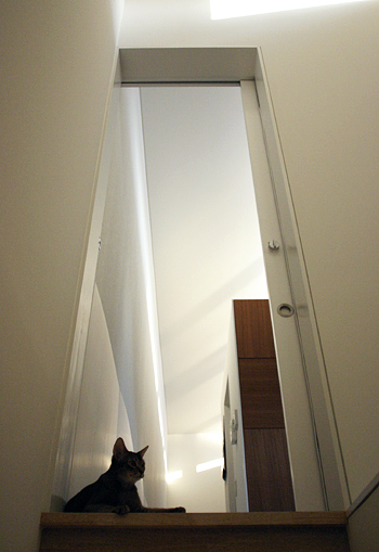 e0090124_9541127.jpg