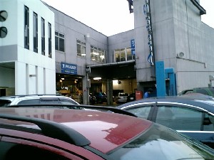 b0004229_2315678.jpg