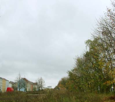 d0025545_31465.jpg