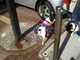 c0015354_9461685.jpg