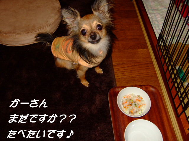 e0088654_1784495.jpg