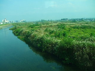 c0098756_2228698.jpg