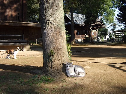 b0059860_14322345.jpg