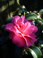 f0072560_18154346.jpg