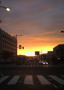 c0009461_903468.jpg