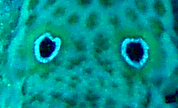 b0062363_202959100.jpg