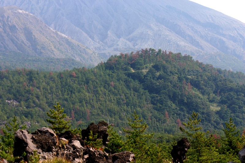 d0013363_23533042.jpg