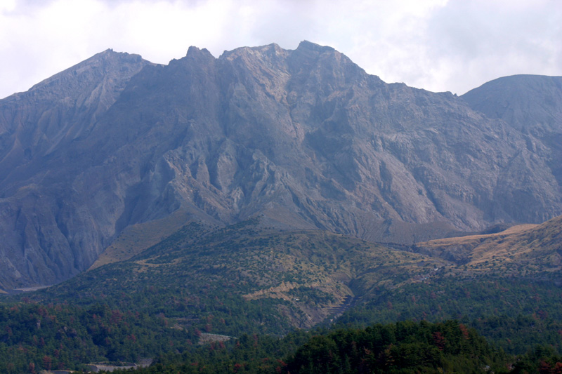 d0013363_2353466.jpg