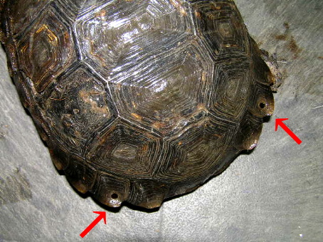e0099576_17134493.jpg