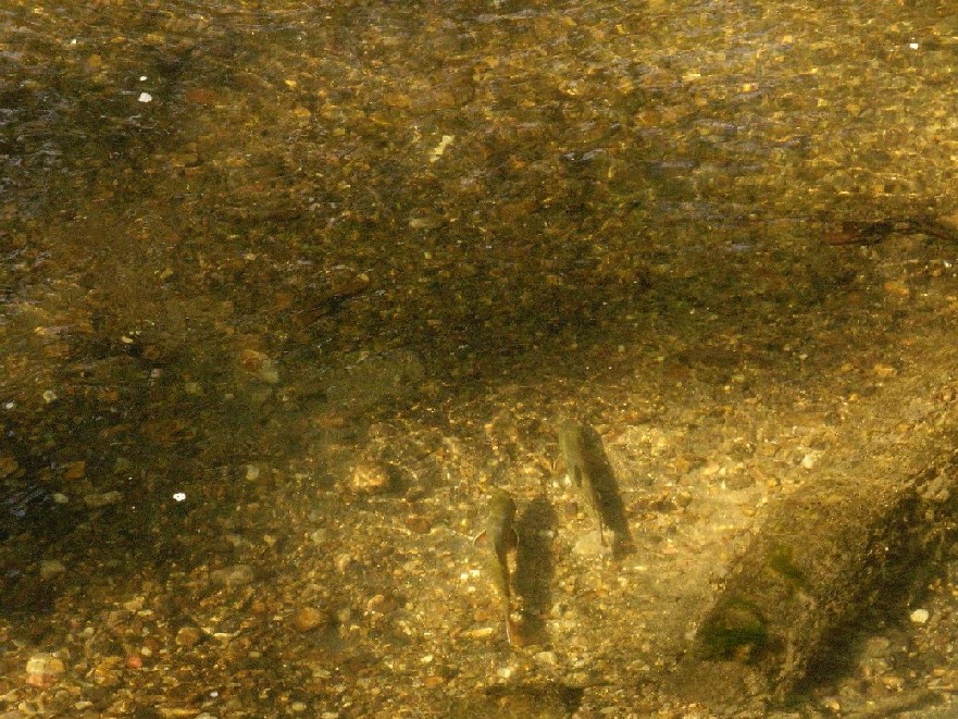 f0092492_858982.jpg