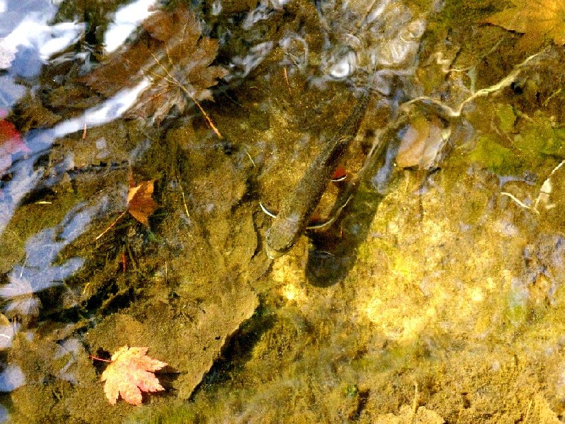 f0092492_923247.jpg