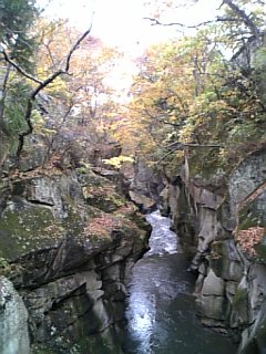 e0006700_22471425.jpg