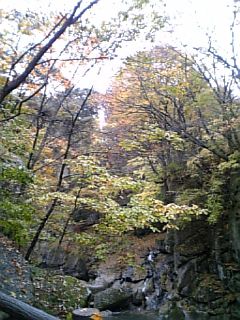 e0006700_22473053.jpg