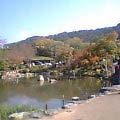 f0110601_5412462.jpg