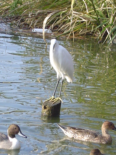 c0006904_2095447.jpg