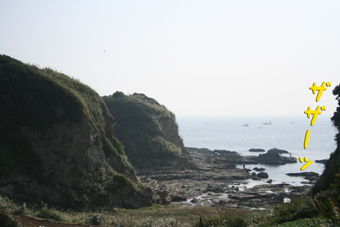 e0072606_222416.jpg