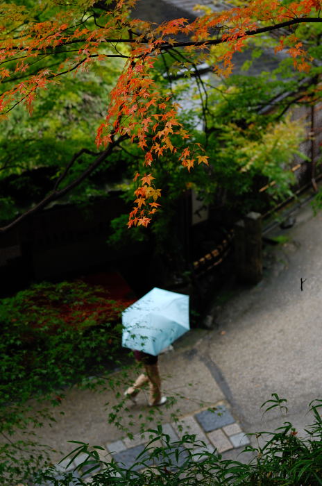 f0032011_18254174.jpg