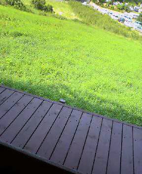 f0031722_1222795.jpg