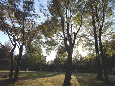 c0098228_6272965.jpg