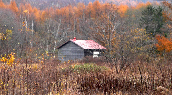 a0046429_17263548.jpg