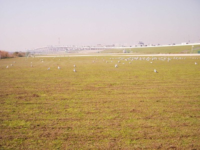 b0006329_2094027.jpg