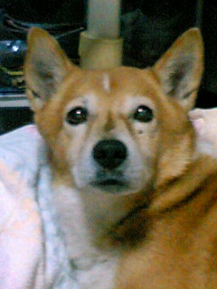 d0088735_20512579.jpg