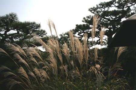 a0024250_1120296.jpg