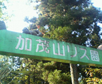 b0012252_6152183.jpg