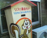 b0012252_6155799.jpg