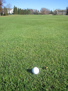 f0006855_15365016.jpg