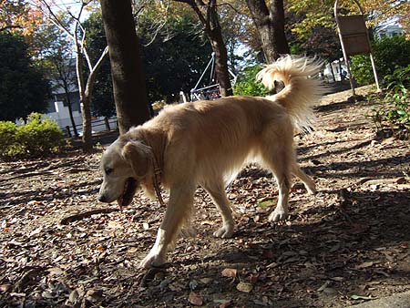 c0097558_141112.jpg