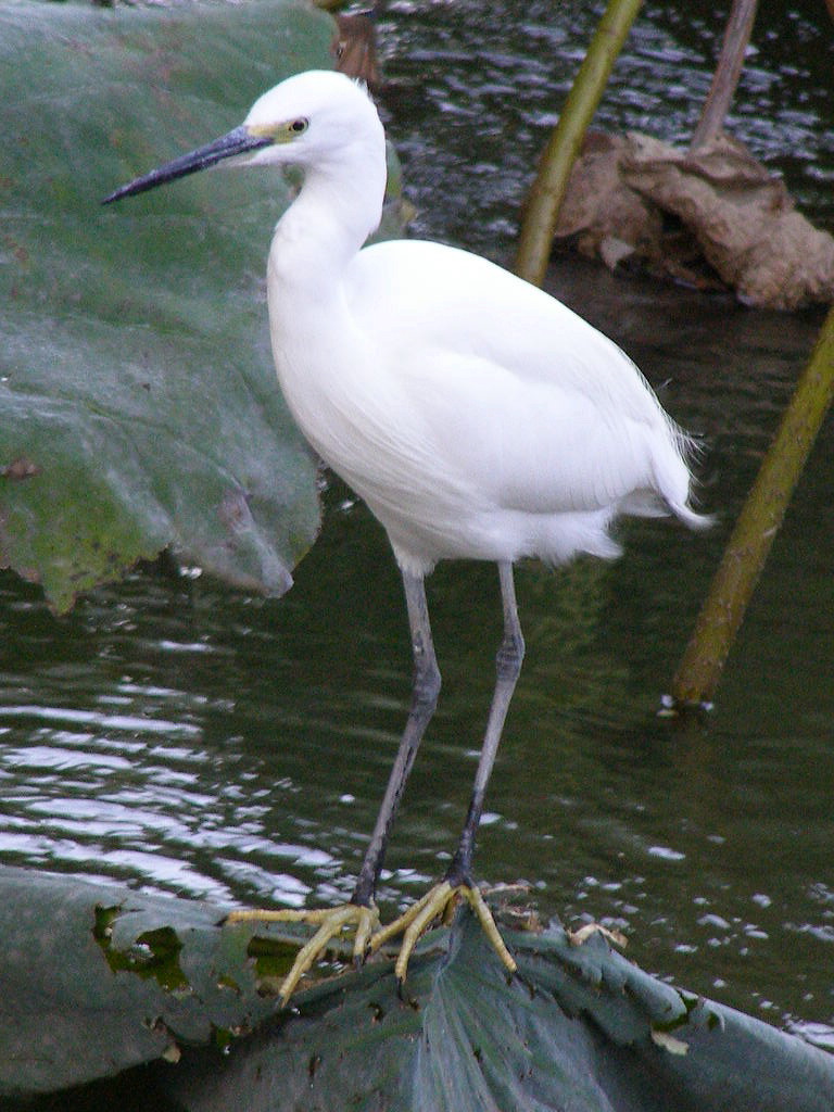 e0064158_0224541.jpg