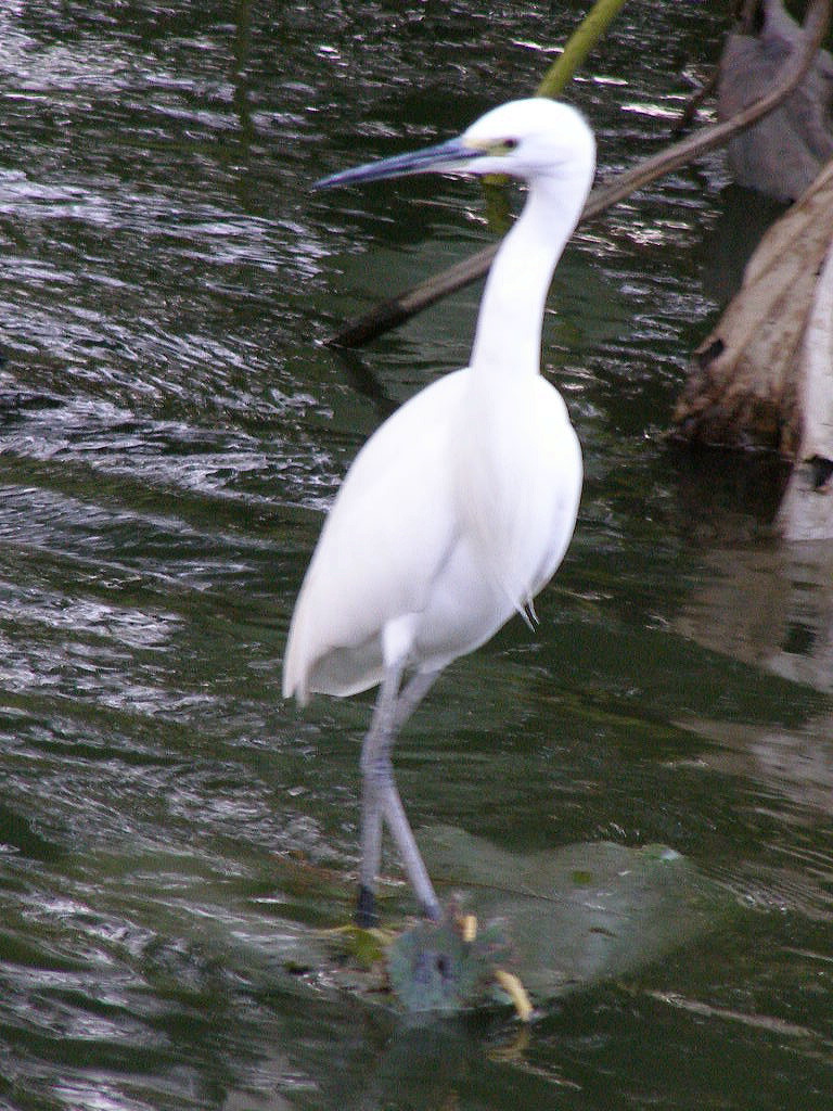e0064158_0241499.jpg