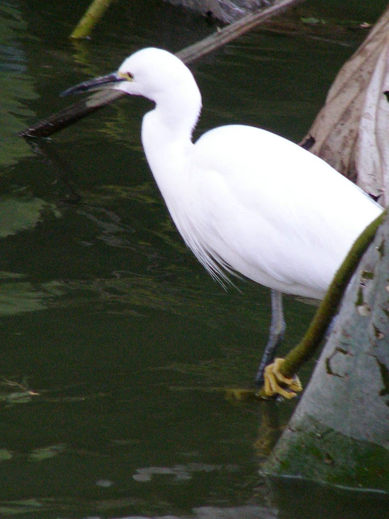 e0064158_0263566.jpg