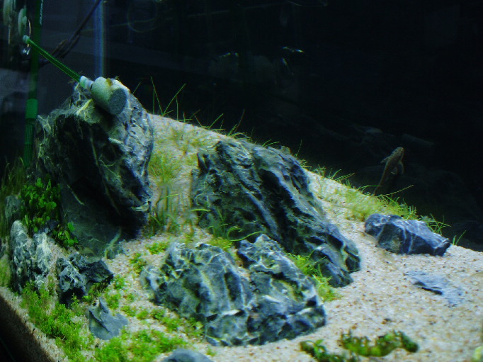 d0090170_059261.jpg