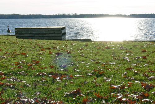a0018572_9361472.jpg