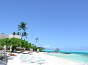 d0041074_23531920.jpg