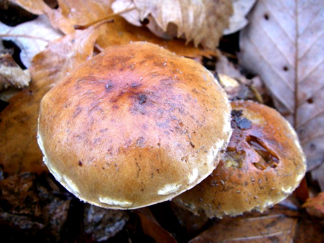 a0066081_22551972.jpg
