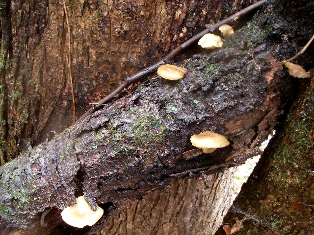 a0066081_2301853.jpg