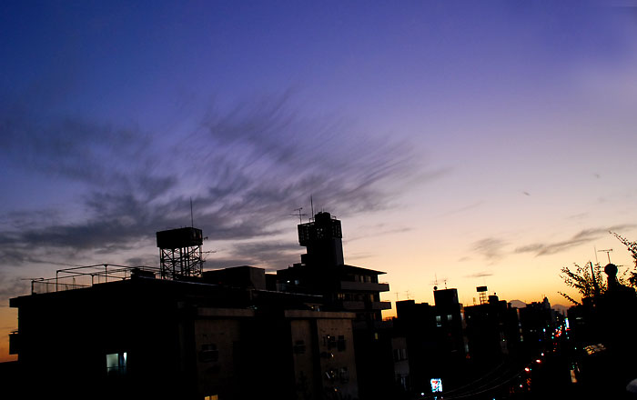 c0009981_5445798.jpg