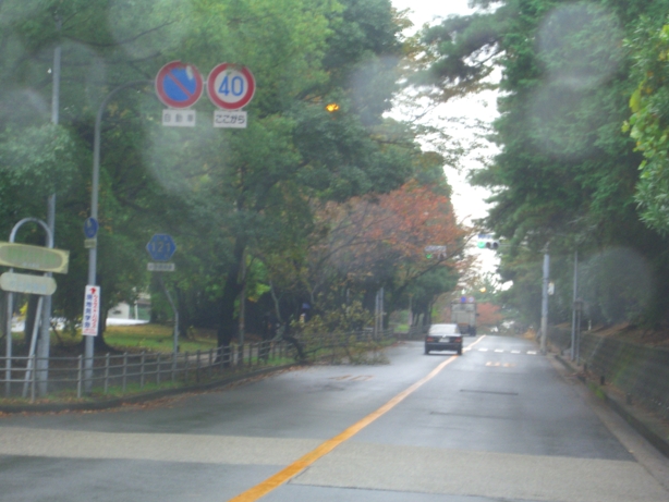 d0092388_1724199.jpg