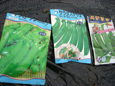 f0070493_1238531.jpg