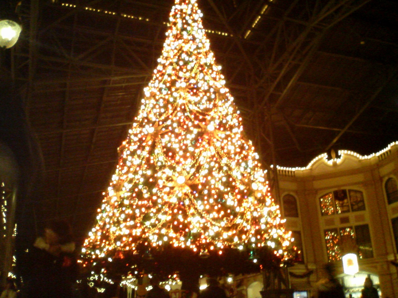 a0074195_23153924.jpg