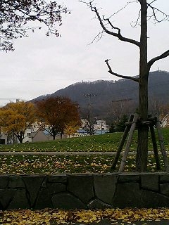 f0001895_1352533.jpg