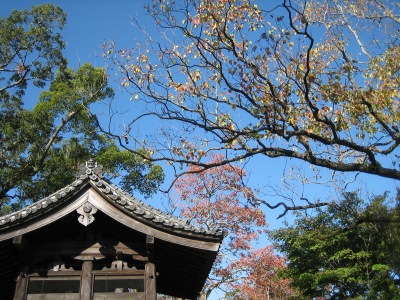 f0036700_1729088.jpg