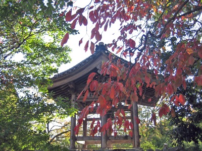 f0036700_17291581.jpg