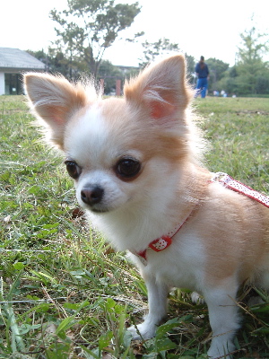 a0079803_014034.jpg
